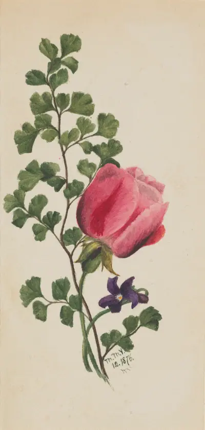 Pink Rose with Violet