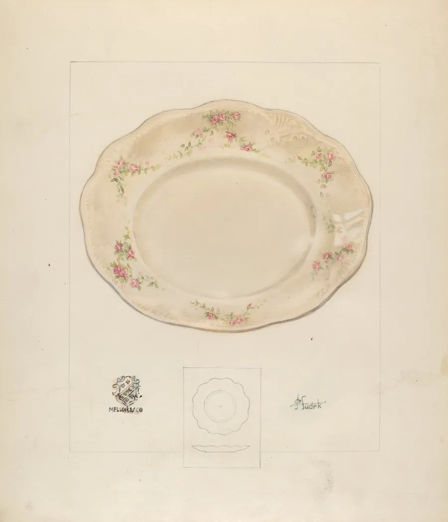 Dinner Plate by Joseph Sudek