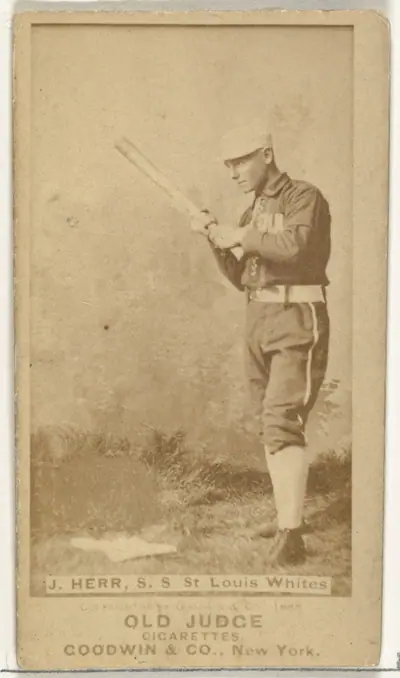 Herr, Shortstop, St. Louis Whites, from the Old Judge series (N172) for Old Judge Cigarettes