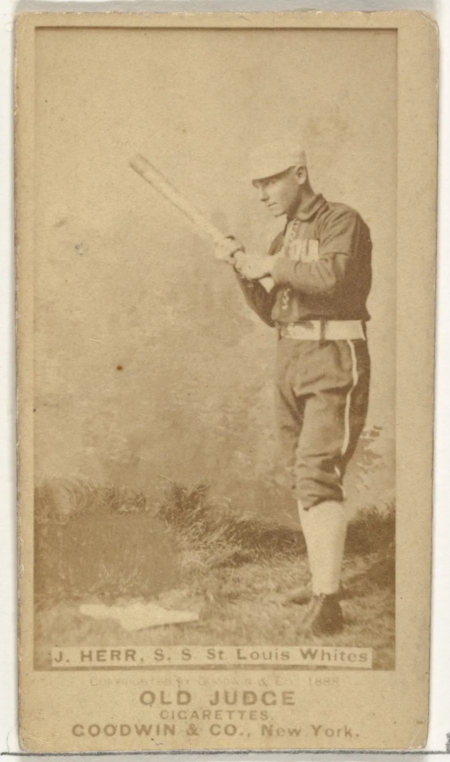 Herr, Shortstop, St. Louis Whites, from the Old Judge series (N172) for Old Judge Cigarettes by Goodwin & Company