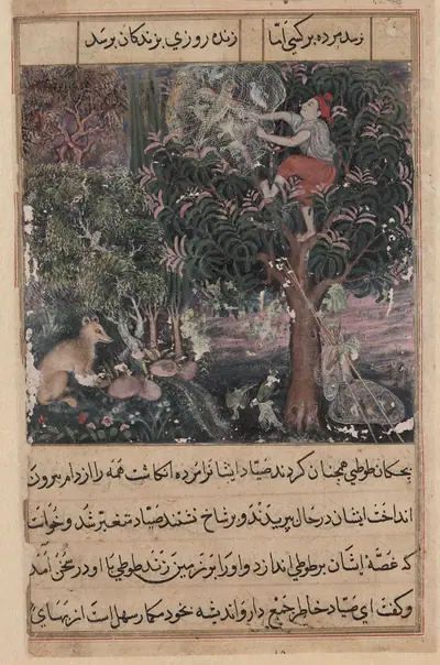 The hunter throws away the baby parrots, who pretend to be dead, and captures the mother, from a Tuti-nama (Tales of a Parrot): Fifth Night