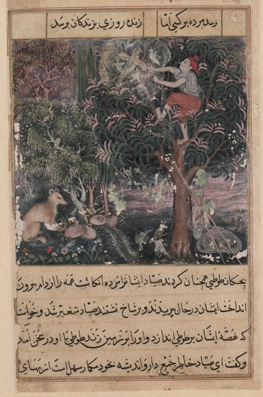 The hunter throws away the baby parrots, who pretend to be dead, and captures the mother, from a Tuti-nama (Tales of a Parrot): Fifth Night by Basavana