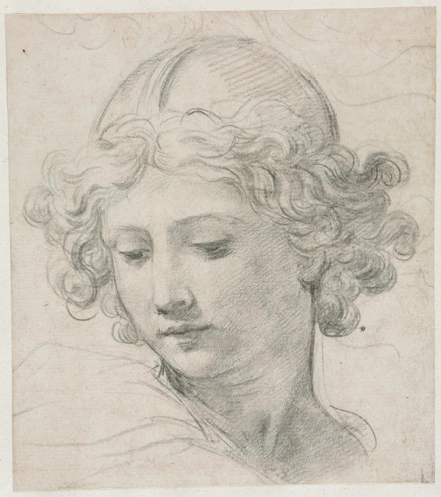 Study for the Head of St. Michael by Pietro da Cortona
