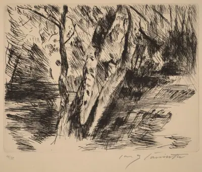 Birkenstämme im Tiergarten (Birch Trees in the Tiergarten)