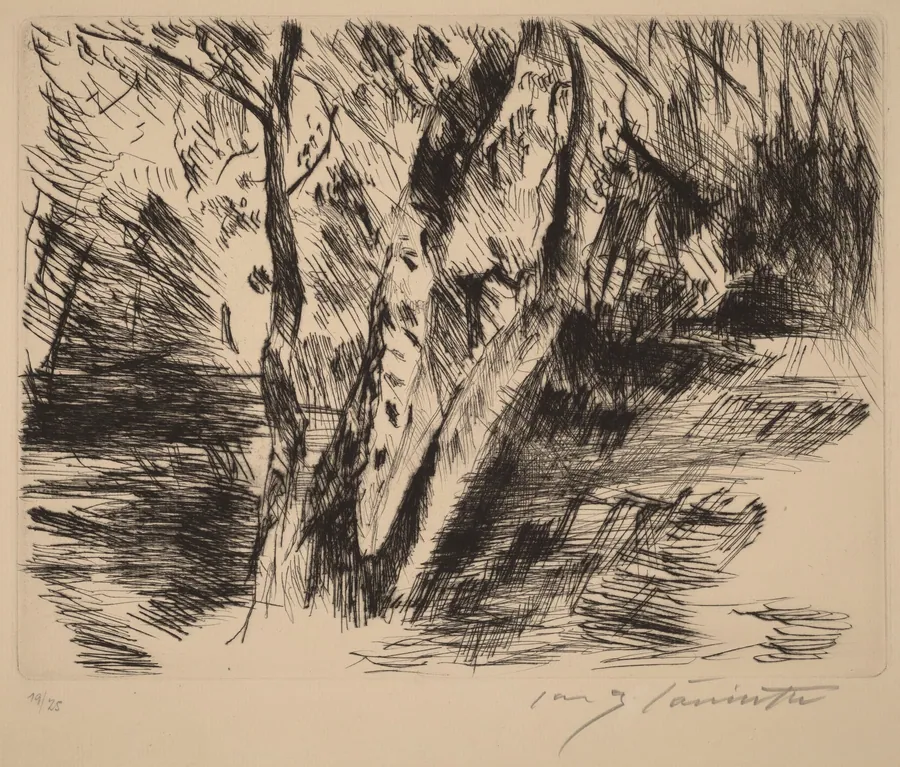 Birkenstämme im Tiergarten (Birch Trees in the Tiergarten) by Lovis Corinth