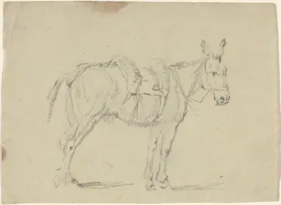 Donkey Stretching a Hind Leg