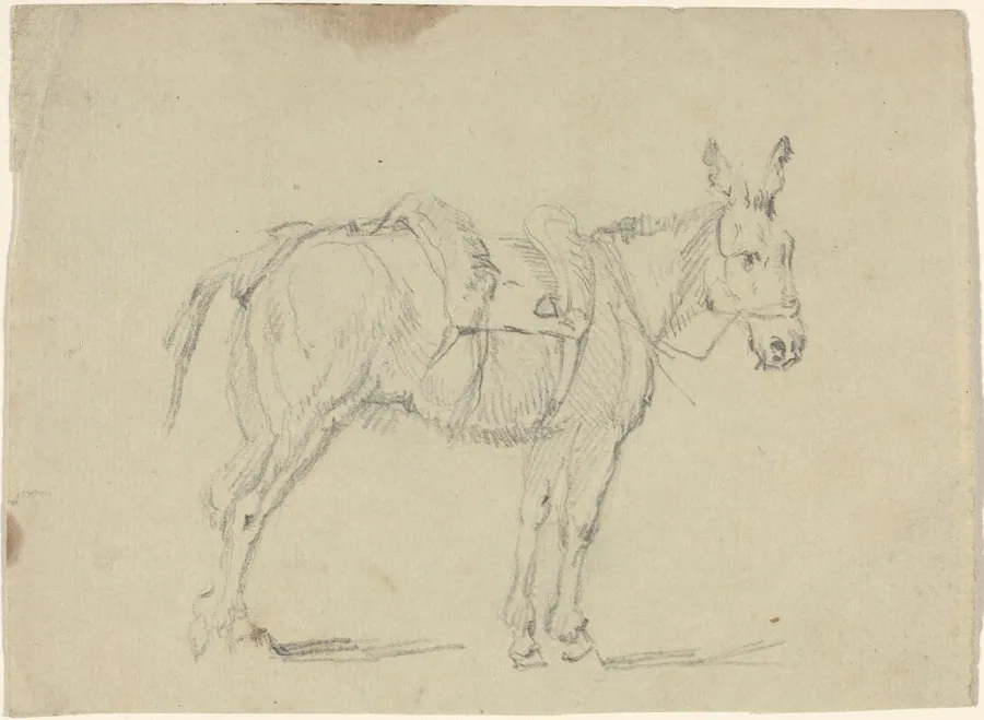 Donkey Stretching a Hind Leg by John Flaxman