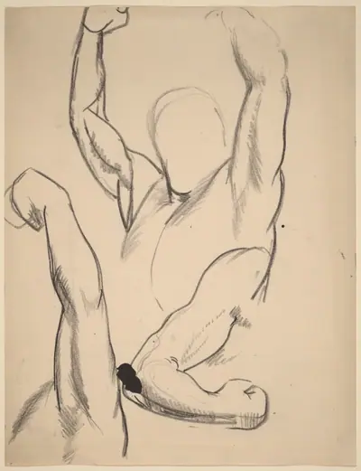 Arms of a Boxer