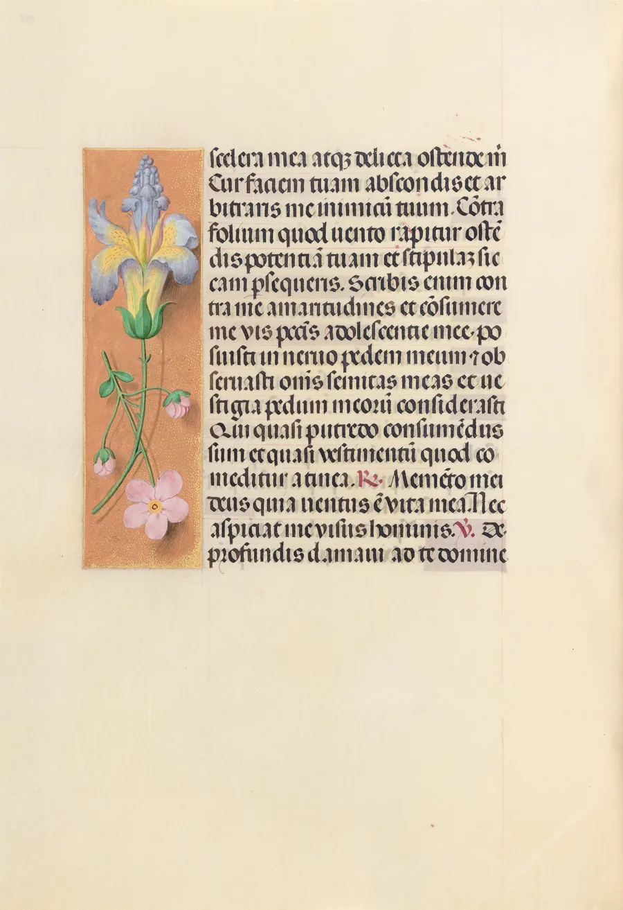 Hours of Queen Isabella the Catholic, Queen of Spain:  Fol. 237v by Master of the First Prayerbook of Maximillian