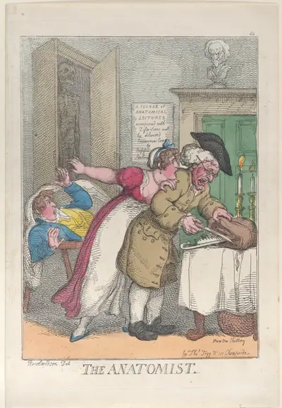 The Anatomist