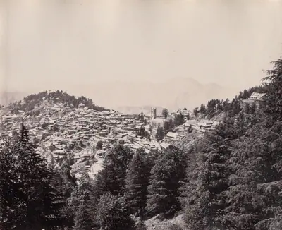 Shimla