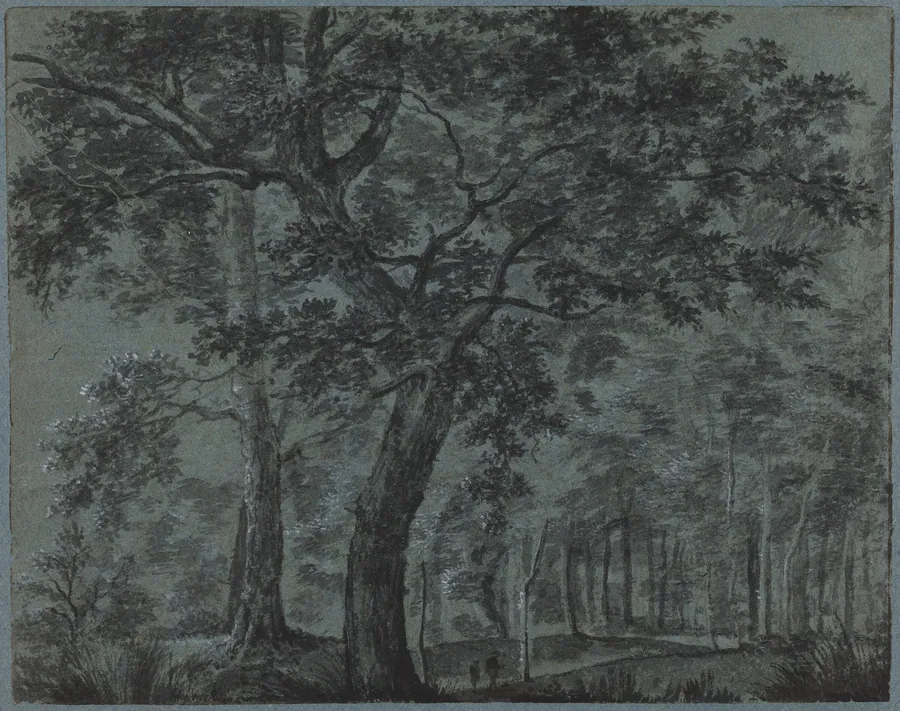 Woods at Night with Travelers by Joris van der Haagen