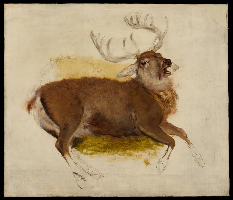 Dying Stag by Sir Edwin Henry Landseer