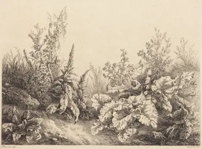 Study of a Burdock