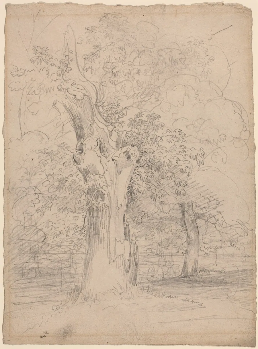 An Ancient Tree with Figures in a Landscape by Friedrich Salathé