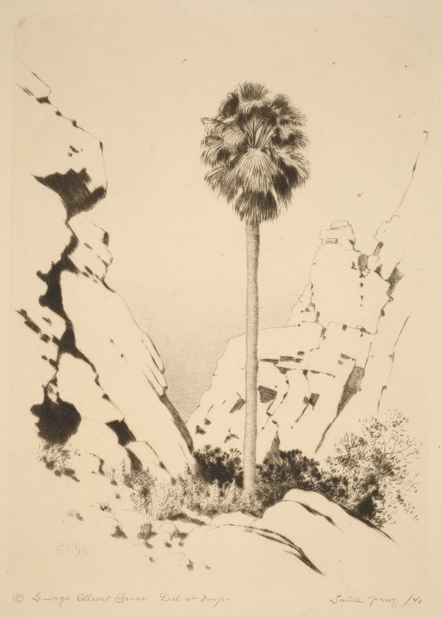 Palm Canyon (no.1) by George Elbert Burr