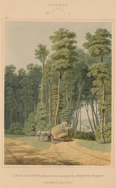 Summer--A  Road Accident. A glimpse thro' an opening of the Primitive Forest. Thornville, Ohio
