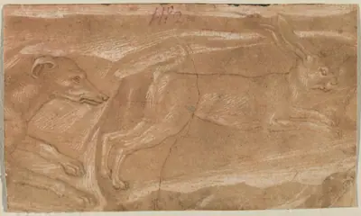 A Hound Chasing a Hare