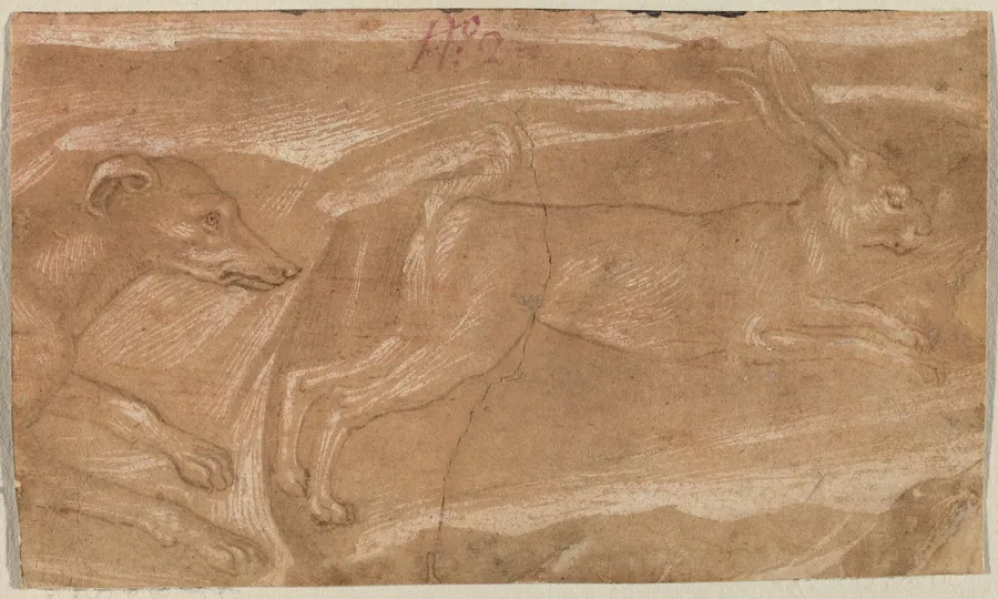 A Hound Chasing a Hare by Benozzo Gozzoli