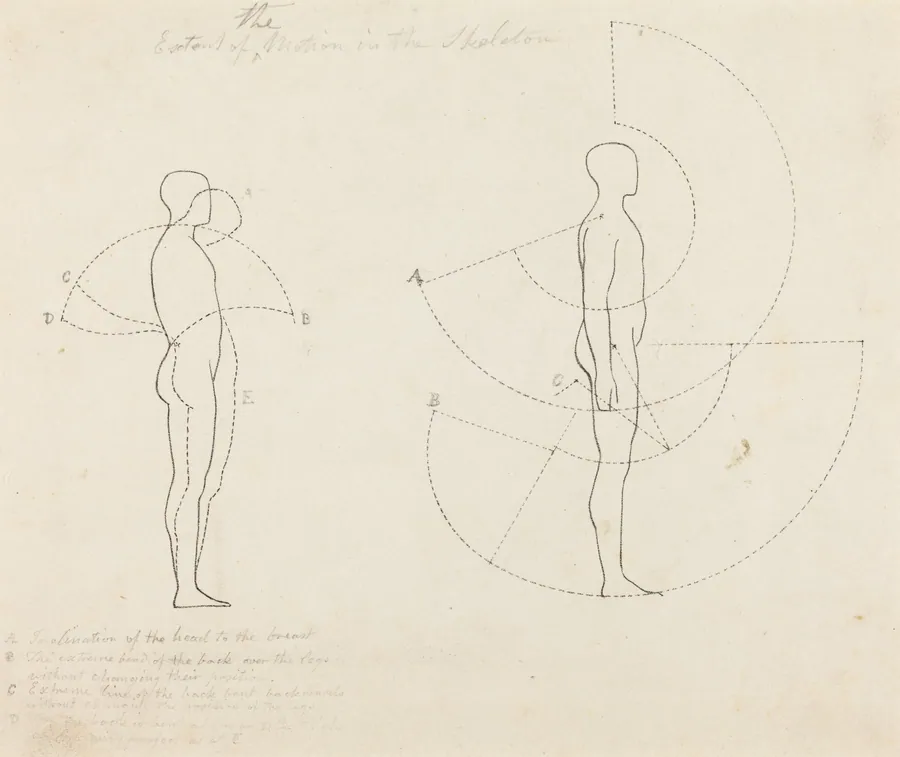 Extent of Motion Shown in Two Figures by George Scharf