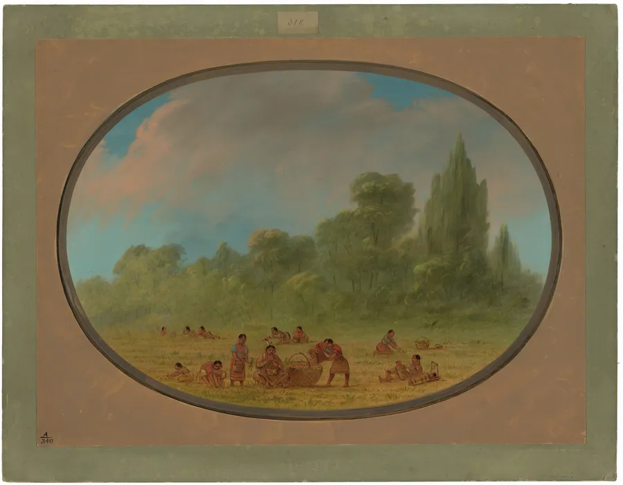 Caddoe Indians Gathering Wild Strawberries by George Catlin