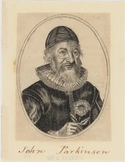 John Parkinson, Apothecary and Herbalist to James I