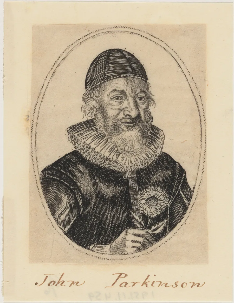 John Parkinson, Apothecary and Herbalist to James I by William Marshall