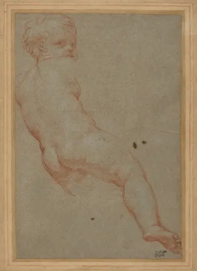 Study of a Young Boy