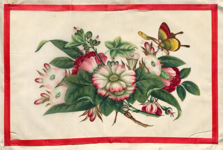 Painting Twelve from Illustrated Book of Flowers and Butterflies