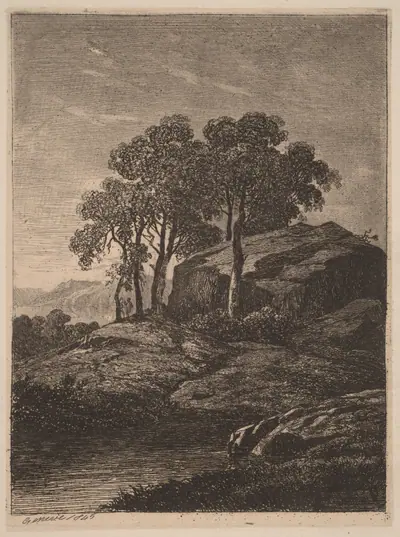 Trees by a Rock
