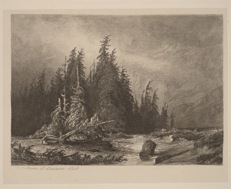 Mountain PInes by Alexandre Calame