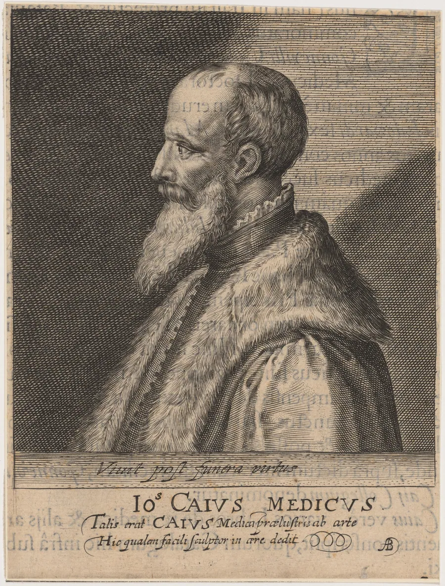 John Caius, Co-Founder of Gonville and Caius College, Cambridge by Magdalena van de Passe