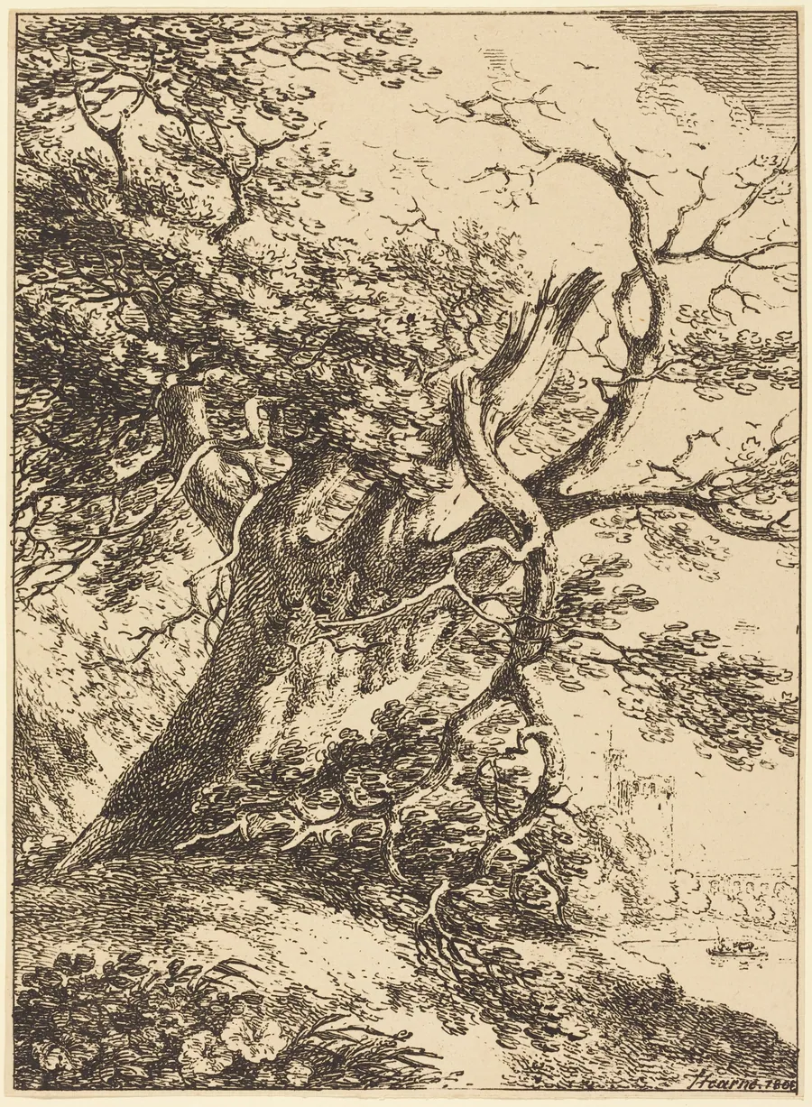 Old Tree by Thomas Hearne