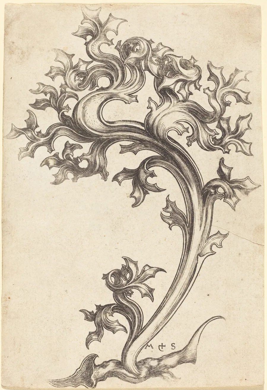Thistle Ornament by Martin Schongauer
