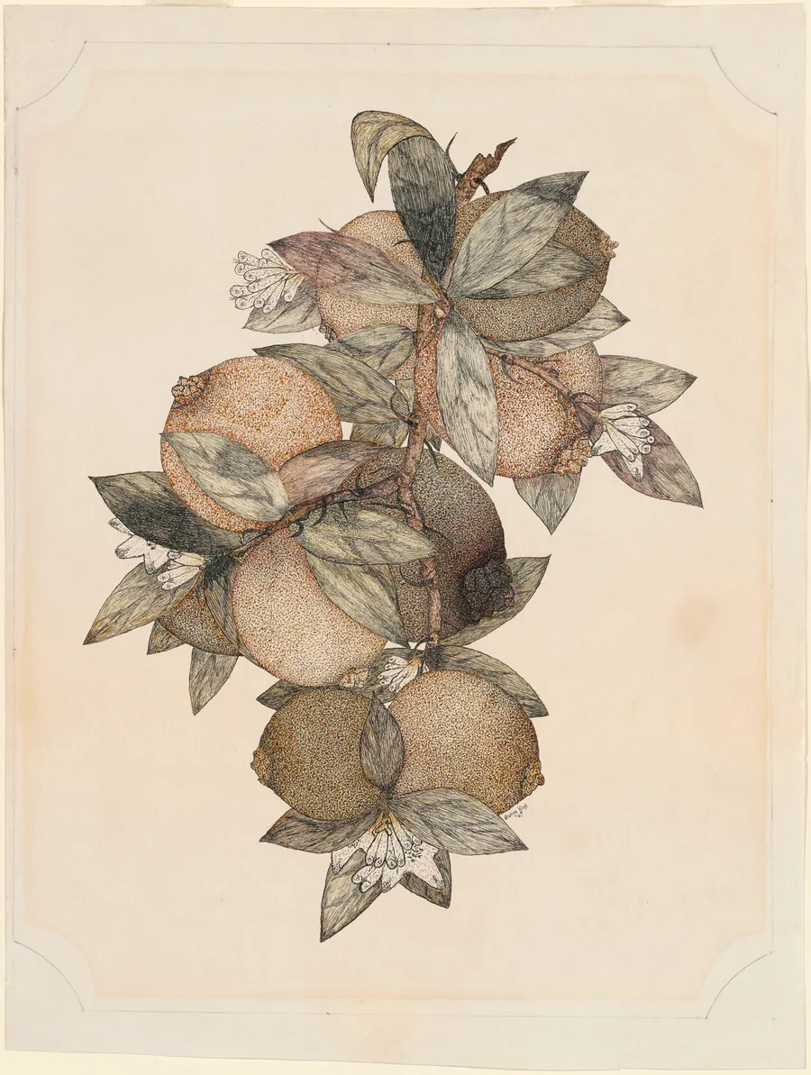 Pomegranate Fruit by Rufus King