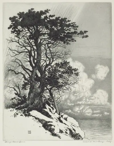 Coast at Monterey, California