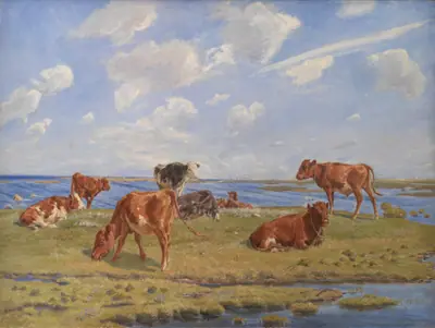 Kalve ved stranden
