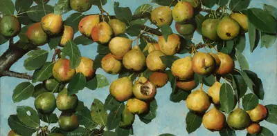 Ripening Pears