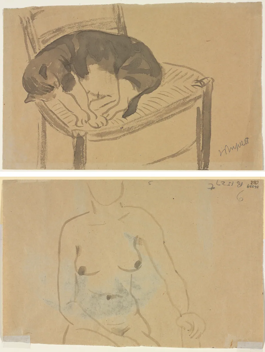 Sleeping Cat (recto) Torso of a Nude Woman (verso) by Jane Poupelet