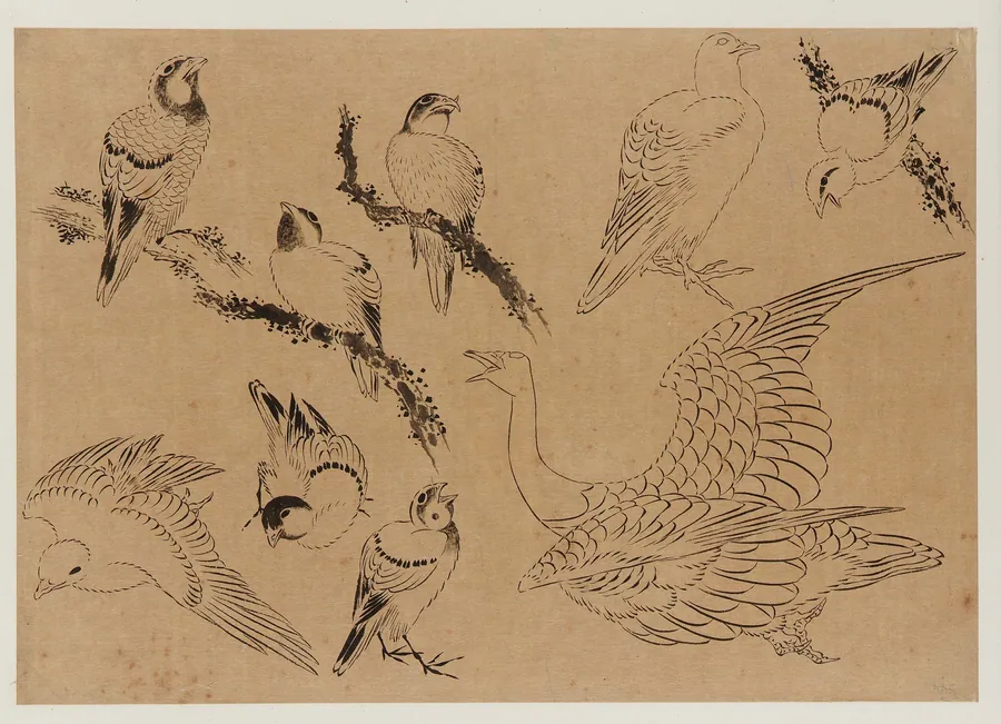 Birds by Katsushika Hokusai 葛飾北斎 (1760-1849)