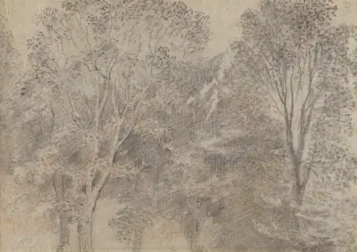 Treetops [verso]