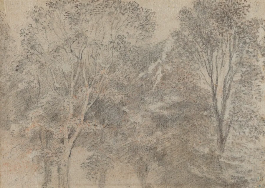 Treetops [verso] by Antoine Watteau