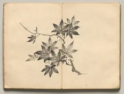 Maple from Ōkyo Picture Book