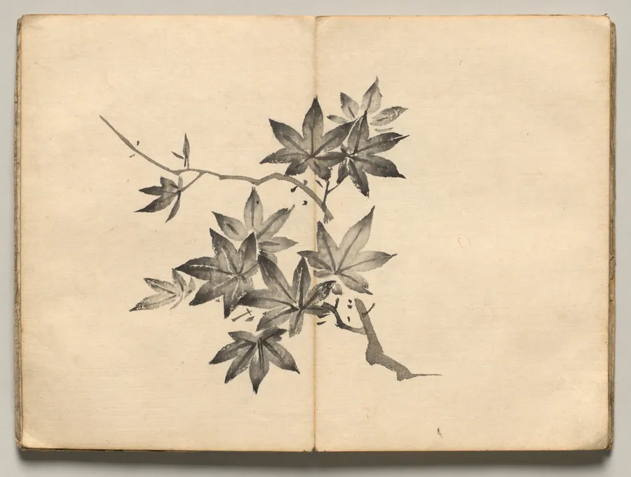 Maple from Ōkyo Picture Book by Maruyama Ōkyo