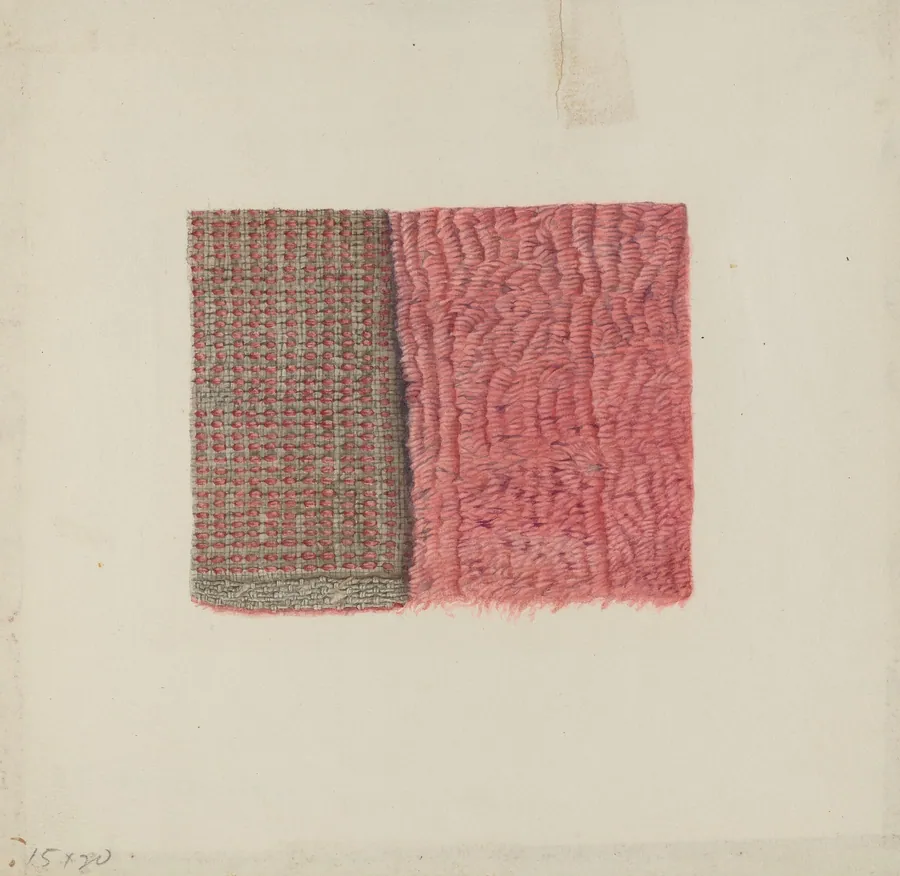 Piece of Shag by Frances Cohen