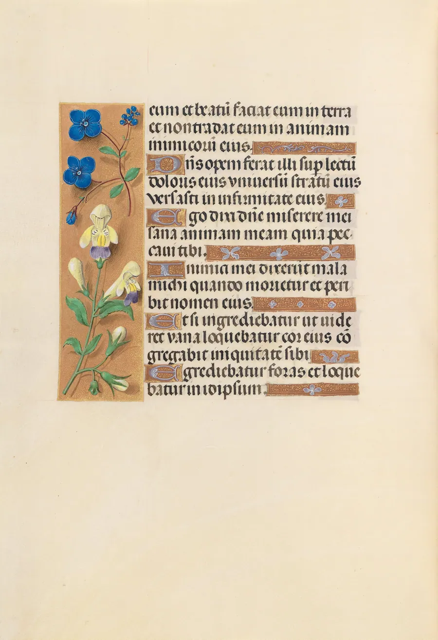 Hours of Queen Isabella the Catholic, Queen of Spain:  Fol. 241v by Master of the First Prayerbook of Maximillian