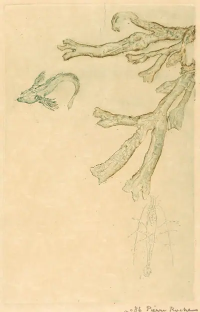 Marine Algae (Algues marines)