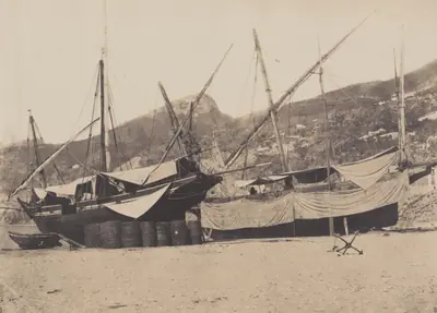 Salerne