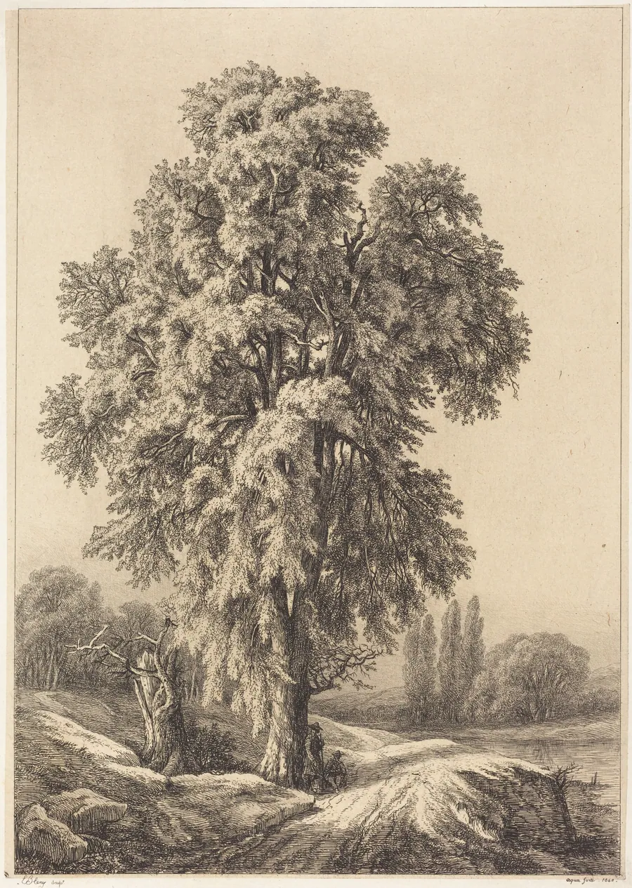 The Elm Tree by Eugène Bléry