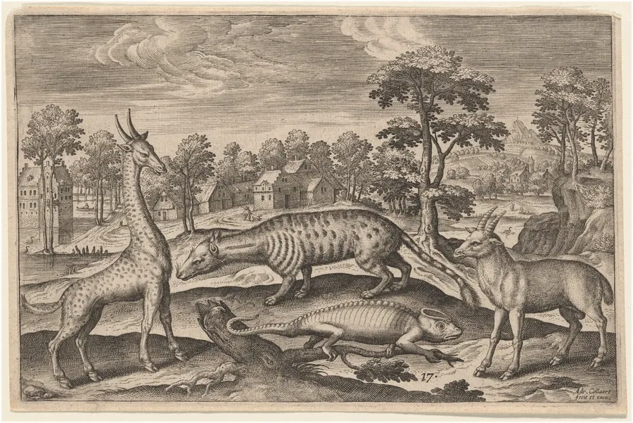 A Giraffe, a Chameleon, a Civet, and an Antelope by Adriaen Collaert